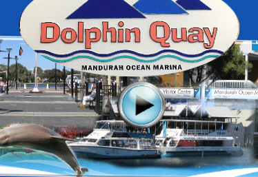 Dolphin Quay image